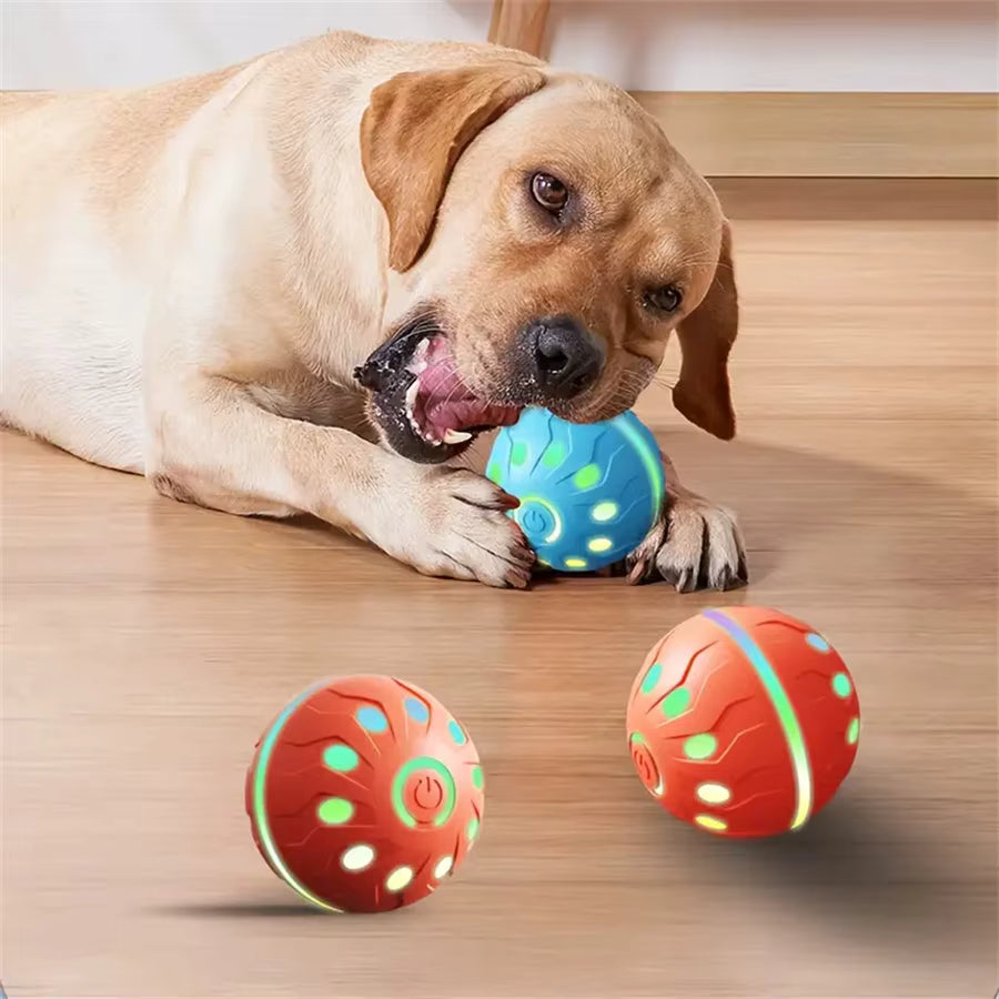 Interactive Smart Dog Toy Ball - Automatic Rolling & Bouncing Fun for your Furry Friend